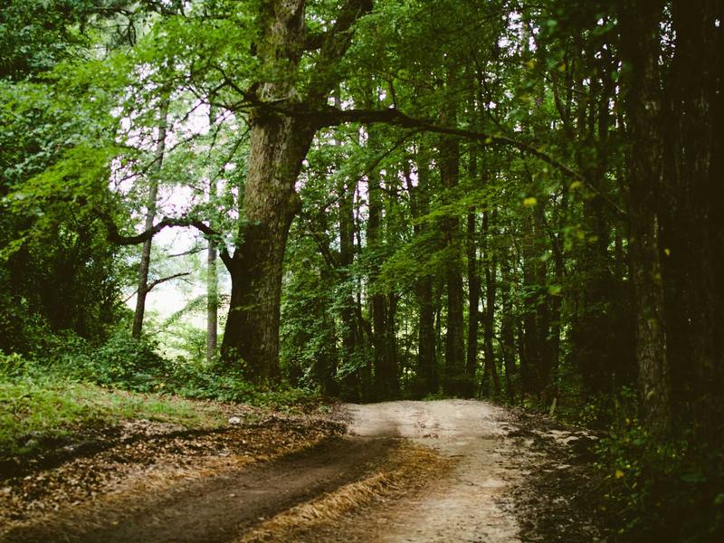 sudoku retro theme screenshot 1